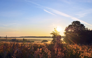 Similar image 1307744