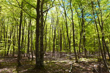 Similar image 1307749