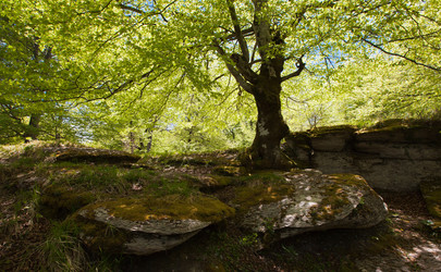 Similar image 1307750