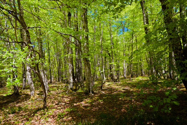 Similar image 1307753