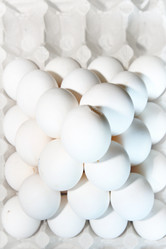 Similar image 1307779