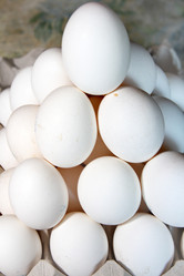 Similar image 1307780