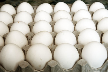 Similar image 1307781