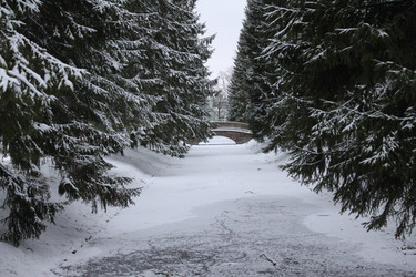 Similar image 1307953