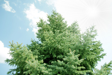 Similar image 1307994