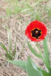 Similar image 1308006