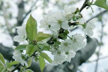 Similar image 1308007