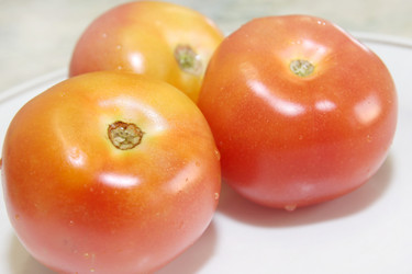 Similar image 1308008