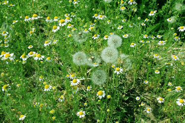 Similar image 1308017