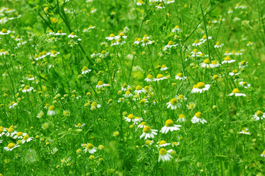 Similar image 1308018