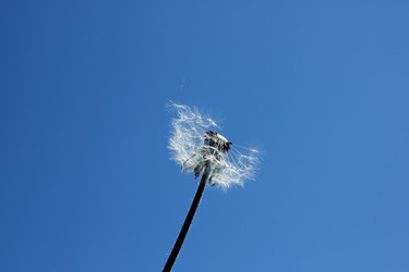 Similar image 1308019