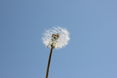 Similar image 1308020