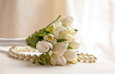 Similar image 1308032