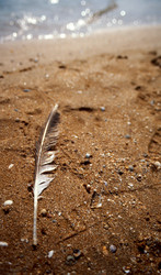 Similar image 1308055