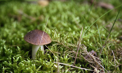 Similar image 1308057