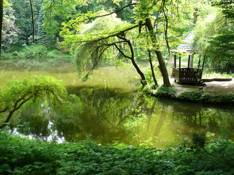 Similar image 1308072