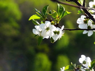 Similar image 1308073