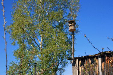 Similar image 1308096