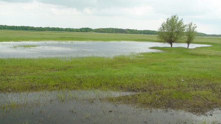 Similar image 1308102