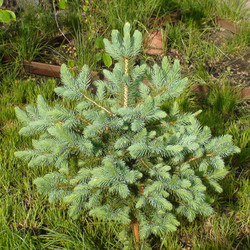 Similar image 1308103