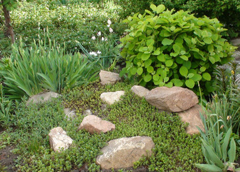 Similar image 1308104