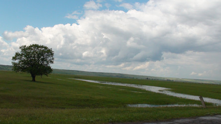 Similar image 1308105