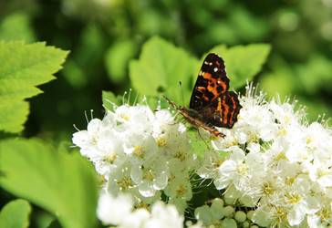 Similar image 1308107