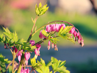 Similar image 1308108