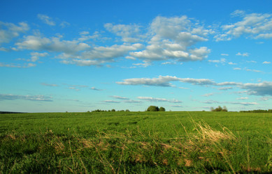 Similar image 1308110