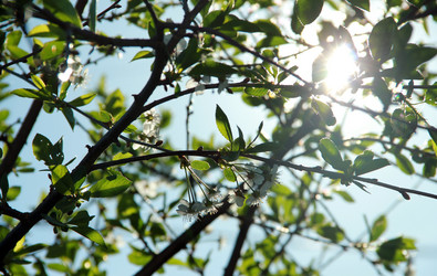 Similar image 1308111