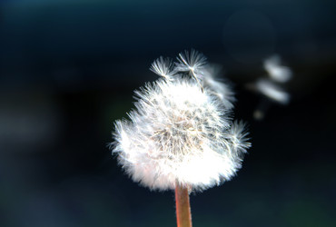 Similar image 1308113