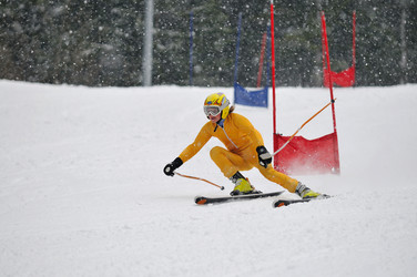 Similar image 1308121