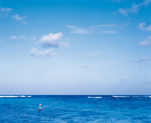 Similar image 1308155