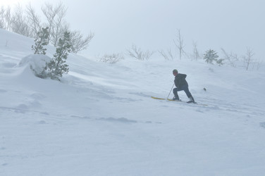 Similar image 1308164