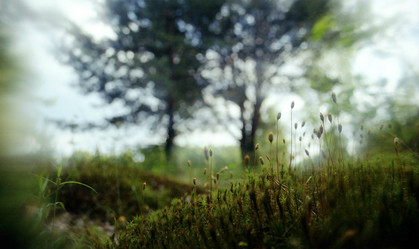 Similar image 1308191