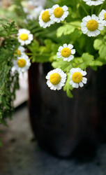 Similar image 1308192