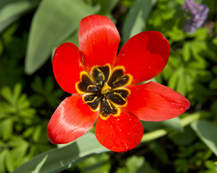 Similar image 1308195