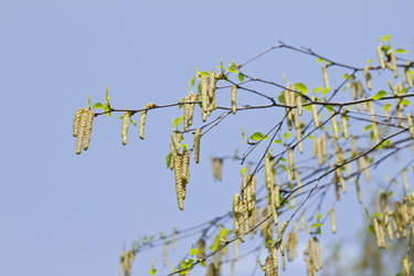 Similar image 1308197