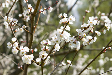 Similar image 1308198