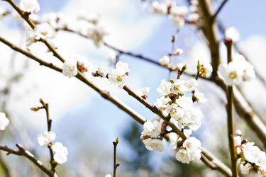 Similar image 1308199