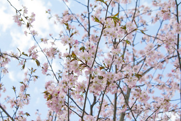 Similar image 1308202