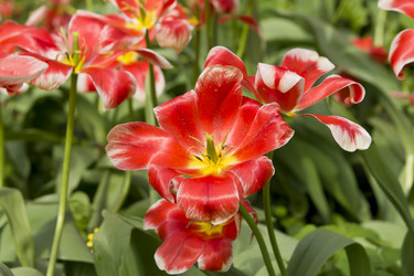 Similar image 1308204