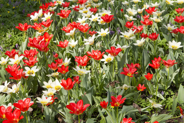 Similar image 1308206