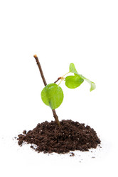 Similar image 1308247