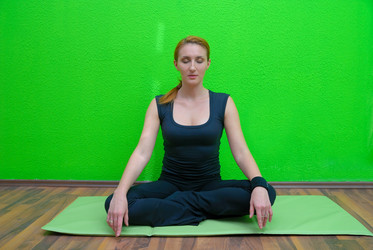 Similar image 1308279