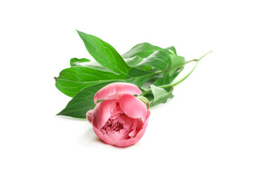 Similar image 1308311