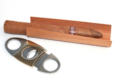 Similar image 1308347