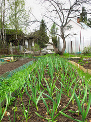 Similar image 1308548