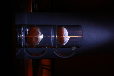 Similar image 1308555