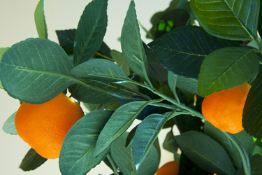 Similar image 1308619